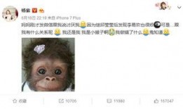 杨紫最新爆料贴吧微博,揭秘娱乐圈幕后故事