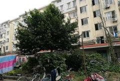 闵行丽园小区爆料视频最新,业主维权事件引发关注